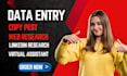 data entry in excel, copy paste, database, data collection,