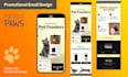 design figma email templates and newsletters