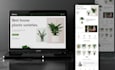 do wordpress website design and development
