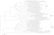 perform comprehensive phylogenetic analysis for your research