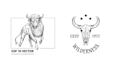 design hand drawn cow bull logo