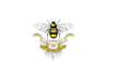 make hand drawn honey bee logo