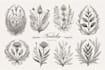 create beautiful hand drawn botanical boho logo