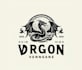 do professional dragon logo design