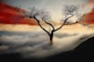 create magical abstract art, psychedelic, surrealism, cubism