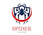 design modern spider logo