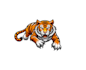 design high quality tiger mascot logo with express delivery