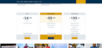 design a custom odoo website with odoo themes
