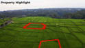 do professional 3d camera tracking and motion tracking