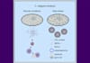 design scientific figure, illustration, graphical abstract for you