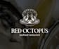 modern and unique octopus logo design