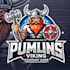 do make powerful viking mascot logo with unlimited revisions