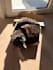 create cat content with my maine coon cat ugc