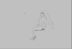 going to make a traditional 2d animation
