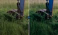edit your photos in lightroom fast