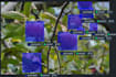 do custom data annotation bitmap polygon bounding box