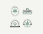 make cannabis,marijuana,hemp,weed logo design