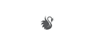 design elegant swan logo