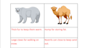 teach kids coding, math and science online