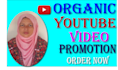 do organic youtube video promotion