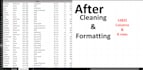 clean, format, remove duplicates and organize excel data