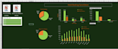 provide expert ms excel and power bi data solutions