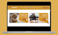 shopify pet store pet website pet shopify store pet toy dropshipping pet store