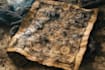 draw a custom map for fantasy, scifi, book or boardgame