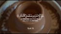 create beautiful quran recitation videos with translation