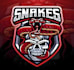 design professional snake logo