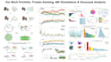 help you in protein peptide, dna docking and md simulation