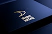 design professional eye catching logo