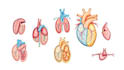 design scientific illustrations and medical figures