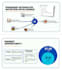 create pitch decks and educational presentations