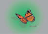 do logo and vector arts