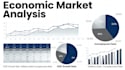 provide expert financial and economic analysis for your business
