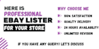 do ebay listing, ebay seo listing, ebay lister
