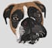 digitize embroidery from any image you need