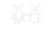 create professional fashion technical drawings