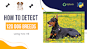 build your object detection model with your dataset