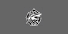 design a unique and captivating shark logo