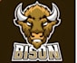 design custom bison ranch logo