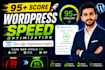 do wordpress speed optimization for google pagespeed insights