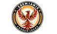 design colorful phoenix logo