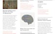 write articles on politics and international affairs