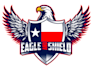 create attractive and imagination eagle logo design