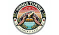 creative a awesome turtle logo design