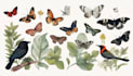 draw an animal and botanical illustration