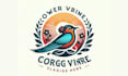create modern hummingbird or any bird logo
