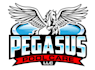 design unique swimming pool logo